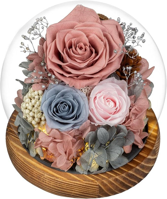 Large Preserved Flowers with Card-Flowers for Delivery Prime,Eternal Rose with Lights,Roses in Glass Dome,Romantic Gift for Her,Decoration, Fresh Rose Flowers for Mom, Birthday, Anniversary(Pink Blue)