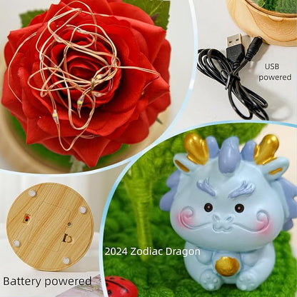 Levvohd Red Roses Birthday Gifts for Mom from Daughte, Beauty and The Beast Rose, Light Up Rose in Dome for Her Girlfriend Mom Christmas Mother Day Valentine Day Gift (Dragon)