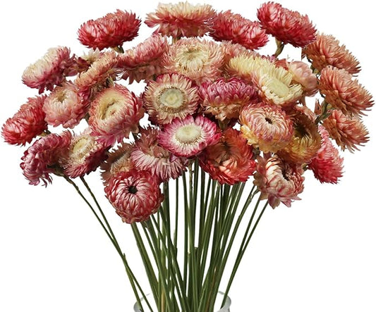 MIHUAGE Dried Flower 40PCS Daisy Bouquet 100% Natural Chrysanthemum Dry Flower for Vase Home décor Party DIY Arrangement Wheat Straw Bulk (Light Purple)