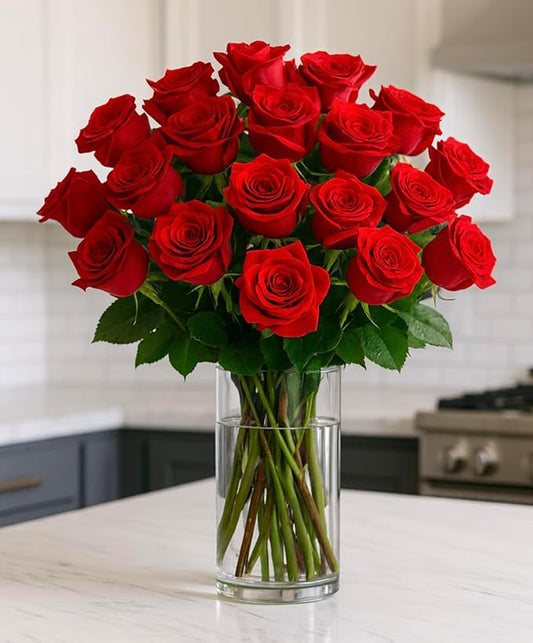BloomsyBox - Red Roses - 24 Long Stems, Long Lasting, Hand-Tied in Eco-friendly, Vase Not Included, Fresh Flowers for Delivery – Gift for Birthday, Anniversary, Get Well, Congratulations, Wedding