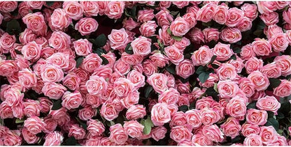 8x6ft Flower Backdrop Pink Rose Floral Wall Photography Background Birthday Baby Shower Wedding Party Banner Decorations Supplies Photo Booth Props