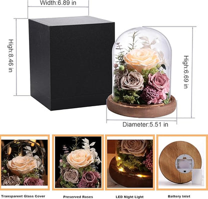 Lovenfold Flowers for Delivery Preserved Rose Gifts for Her,Forever Real Roses Flowers in Glass Dome,Birthday Gifts for Women Mom Wife Friend(Champagne Rose)
