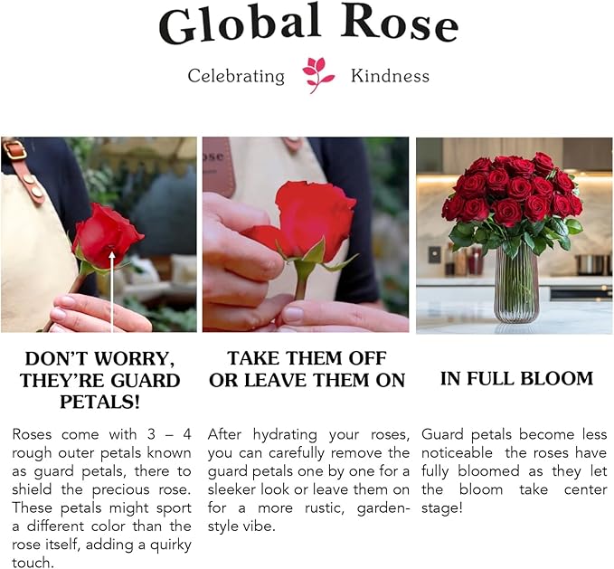 GlobalRose Fresh Cut Assorted Roses - 75 Roses (3 Bundles of 25) Fresh Bouquet for Birthday, Anniversary or Home Decor - Flowers Delivery Gift