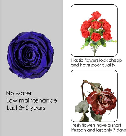 Forever Flower, Preserved Rose Birthday Gifts for Women, Her, Wife, Mom, Prime Eternal Roses Gifts for Mothers Day, Valentines Day, Anniversary, Graduation, Wedding, Single Rose Real Rose (Blue)