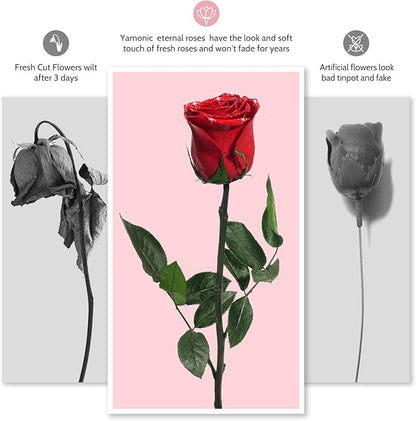 Yamonic Preserved Flower Rose Birthday Gifts for Women, Mothers Day Rose Flowers Gifts for Mom, Real Flower for Women, Grandma, Wife, Girlfriend Gifts for Christmas, Valentine's Day