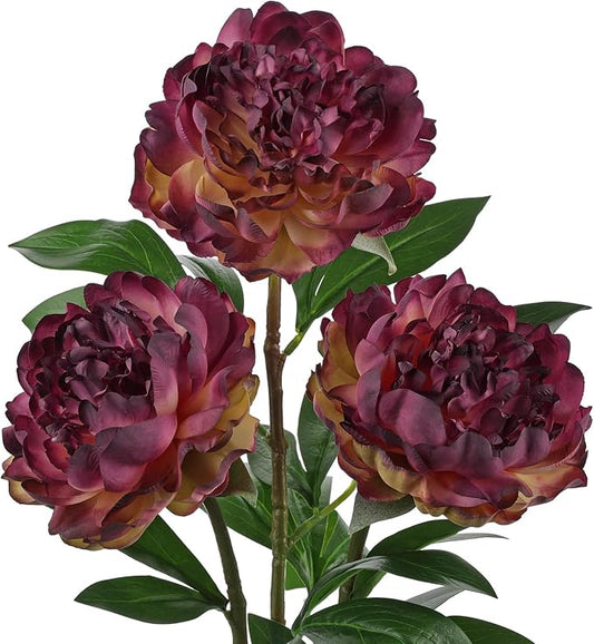 Briful 3PCS Faux Peony Flower Stems, 25.5" Artificial Peony Flowers Realistic Fake Flowers for Vase Arrangements Wedding Centerpieces Decoration(Dark Mauve)