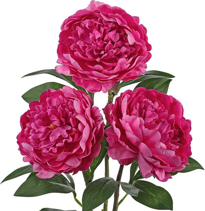Briful 3PCS Faux Peony Flower Stems, 25.5" Artificial Peony Flowers Realistic Fake Flowers for Vase Arrangements Wedding Centerpieces Decoration(Hot Pink)