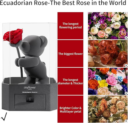 JoyFlower Preserved Flowers with Cute Teddy Bear, Eternal Real Rose Romantic Gift with Acrylic Cover & Gift Box for Girlfriend Wife Her in Valentine's Day, Birthday, Weddings, Anniversaries, Christmas