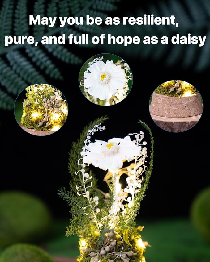 JoyFlower Preserved Daisy in Glass Dome, Real Daisy Eternal Flowers Gifts for Women, Preserved Flower Friendship Gifts for Girlfriend Best Friend Sisters Daughter Birthday Graduation Gift