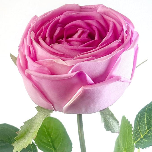 5Pcs Rose Real Touch Artificial Silk Flowers with Stems - Lifelike Latex Austin Rose Peony for Wedding Bouquets, Home Decor, DIY Floral Arrangements