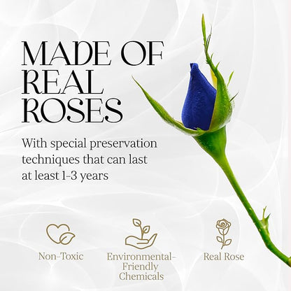 GLAMOUR BOUTIQUE 7 Flower Forever Heart Shape Box - Preserved Roses Gift for Her, Preserved Flowers, Blue