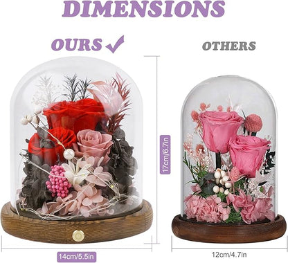 Large Preserved Flowers with Card&Box-Flowers for Delivery Prime,Eternal Rose with Lights,Roses in Glass Dome,Romantic Gift for Her,Decoration, Fresh Rose Flowers for Mom, Birthday, Anniversary (Red)