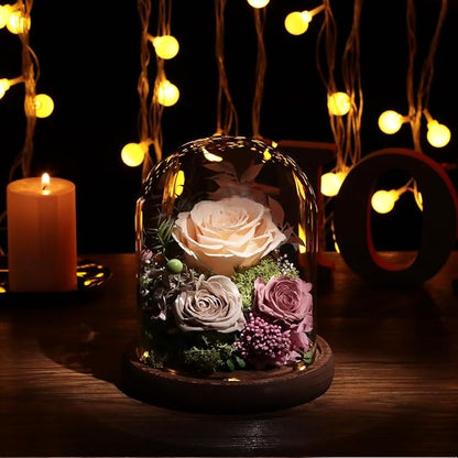 Lovenfold Flowers for Delivery Preserved Rose Gifts for Her,Forever Real Roses Flowers in Glass Dome,Birthday Gifts for Women Mom Wife Friend(Champagne Rose)