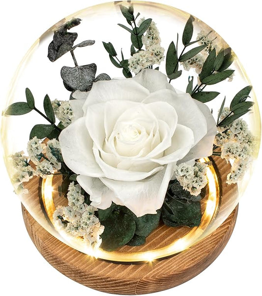 Preserved Roses & Fresh Flowers Bouquet – Gift for Women, Roses That Last Forever, Flowers for Delivery Prime, White Roses – Birthday, Mother’s Day & Christmas