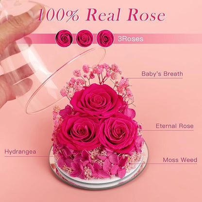 Preserved Flower Rose Gifts for Women, Forever Eternal Fresh Flowers in Glass Angel Figurines Flowers for Delivery Prime for Grandma Mom from Daughter Sister Her Wife on Mothers Day Birthday Christmas