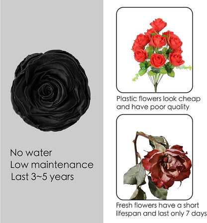 Forever Flower, Preserved Rose Birthday Gifts for Women, Her, Wife, Mom, Prime Eternal Roses Gifts for Mothers Day, Valentines Day, Anniversary, Graduation, Wedding, Single Rose Real Rose (Black)