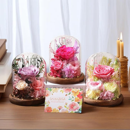 Flowers for Delivery Prime Preserved Flowers Lilac Roses with LED Light in a Glass Dome,Long Lasting Real Roses Birthday Gifts for Women Daughter Mom Wife Friend（Lilac Rose）