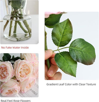 6Pcs Fake Austin Rose Peonies Flowers with Vase, Clear Glass Vase with Pink Real Touch Peonies Artificial Flowers Home Decor(Pink)