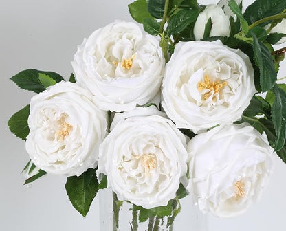 Real Touch White Austin Roses Peonies Artificial Flowers 4 Bouquets Latex Fake Peonies with Long Stem Realistic Faux Peony for Wedding Party Home Table Centerpieces Decorations (White)
