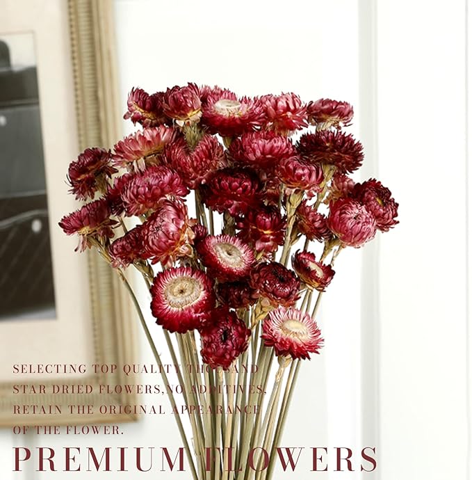 Dried Flower 40PCS Daisy Bouquet 100% Natural Chrysanthemum Dry Flower with Stem for Vase Home décor Party DIY Arrangement Wheat Straw Bulk (Burgundy)