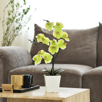 15" Tall Artificial Silk Phalaenopsis Orchid Flower Plant Pot Arrangements (Apple Green)