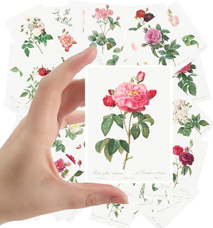 Large Stickers 24 pcs (2.5"x3.5" Each) Roses Flowers Vintage Botannical Books Illustrations by Redoute Retro Postcards Greeting Card Reprint