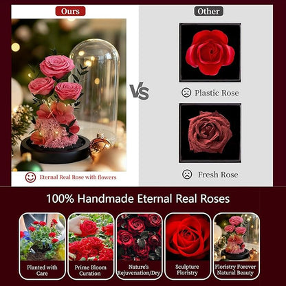 Birthday Gifts for Women Mom Fresh Flowers for Delivery Prime Forever Preserved Rose in Glass Dome Gifts for Her Girlfriend Grandma Daughter Wife Valentines Mothers Day Christmas Anniversary-Pink