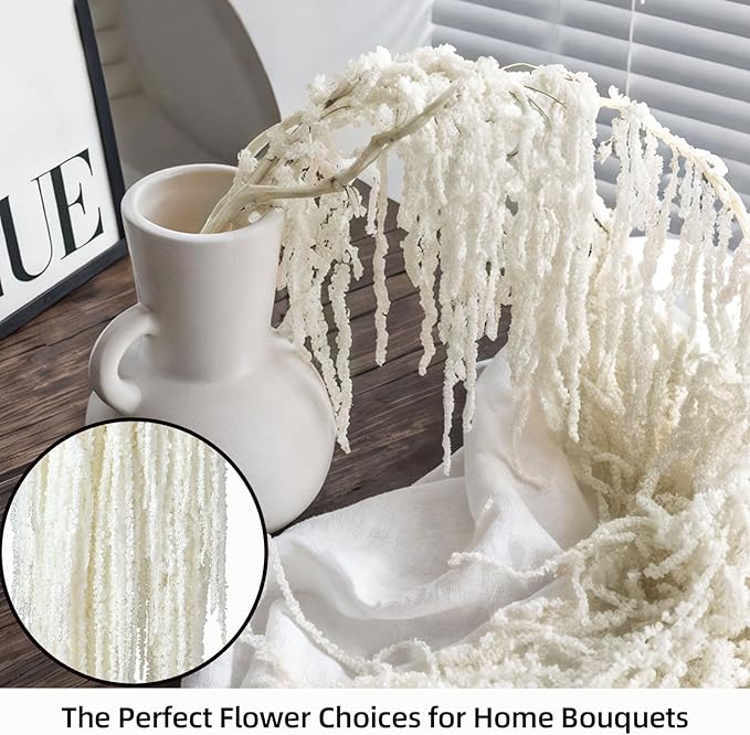 5Pcs Dried Amaranthus Hanging Flowers, Natural Preserved Flower for Wedding Arch, Exhibition, Wall Hanging Lover Tears, Floral Arrangement, Home Decor (White, 24")