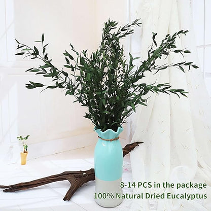 Dried Eucalyptus Leaves Preserved Greenery Stems, 8-14 PCS Eucalyptus Garland Branches, 4 OZ Green Leaves Plant Bundle for Wedding Wreath Party Home Decor Vase Filler