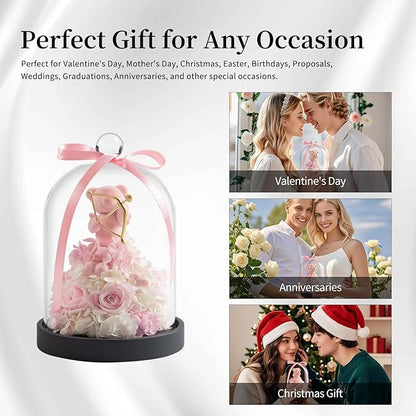 SEEROSE Preserved Rose with Cupid Bear in Glass Dome, Eternal Real Rose Romantic Gift for Her, Women, Mom, Wife, Girlfriend, Valentine’s Day, Mother’s Day, Christmas, Birthday (Cupid Bear, Pink)