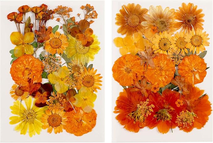 60 Pieces Fall Dried Pressed Flowers Orange Natural Dry Flowers for Crafts,Resin Mold,Scrapbooking,Candle,Soap Making,Embellishment Decorations