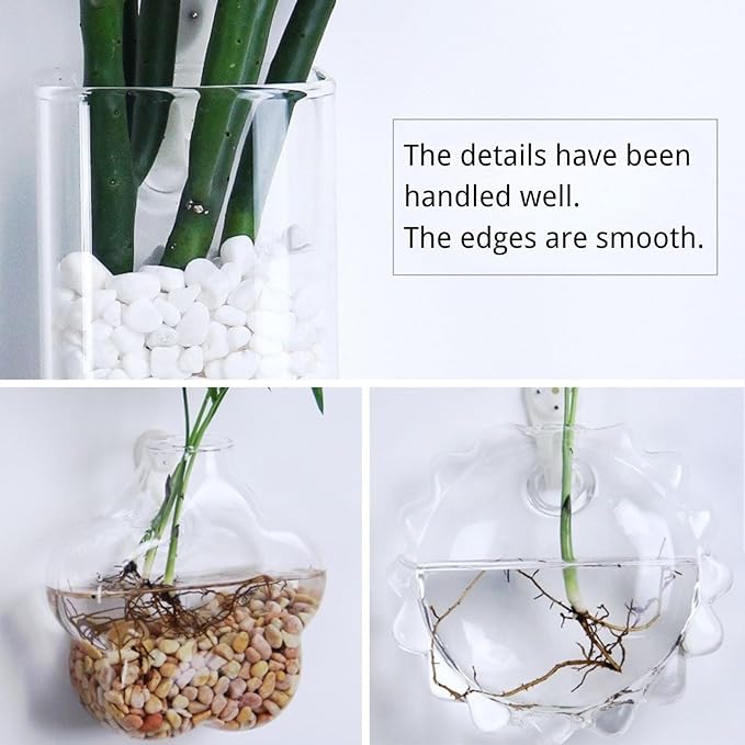 Wall-Mounted Acrylic Planter for Hydroponic Plants – Round Disc Vase Small, Modern Transparent Design for Home & Office Decoration