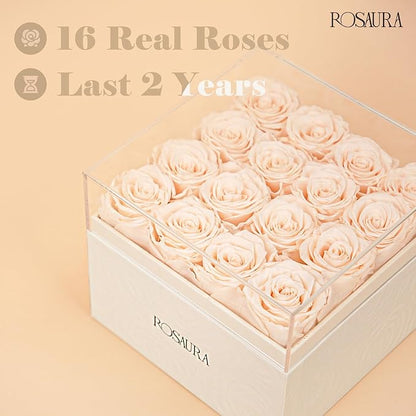 Rosaura Square Preserved Roses Gift Box - Real Forever Flowers in Clear Acrylic Lid, Valentine's for Women (Champagne, 16 Roses)