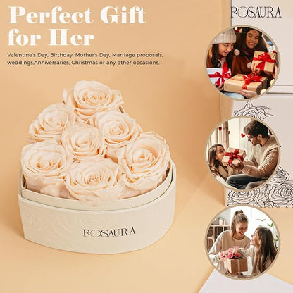 Rosaura Heart-Shaped Preserved Roses Gift Box - Real Forever Flowers for Birthday, Valentine's & Mother's Day (Champagne, 7 roses)
