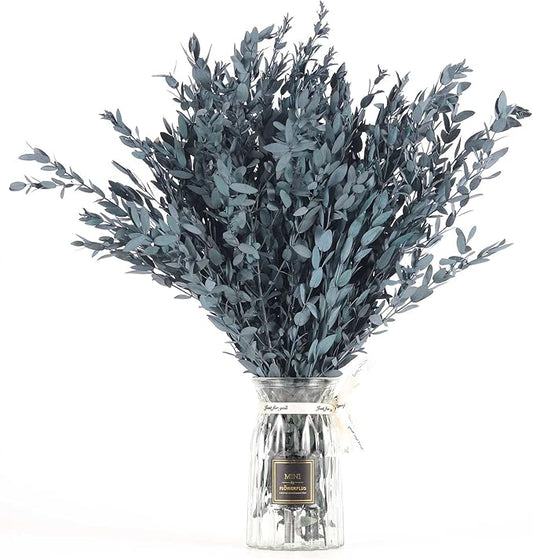Dried Eucalyptus Leaves Preserved Greenery Stems, 8-14 PCS Eucalyptus Garland Branches, 4 OZ Blue Leaves Plant Bundle for Wedding Wreath Party Home Decor Vase Filler