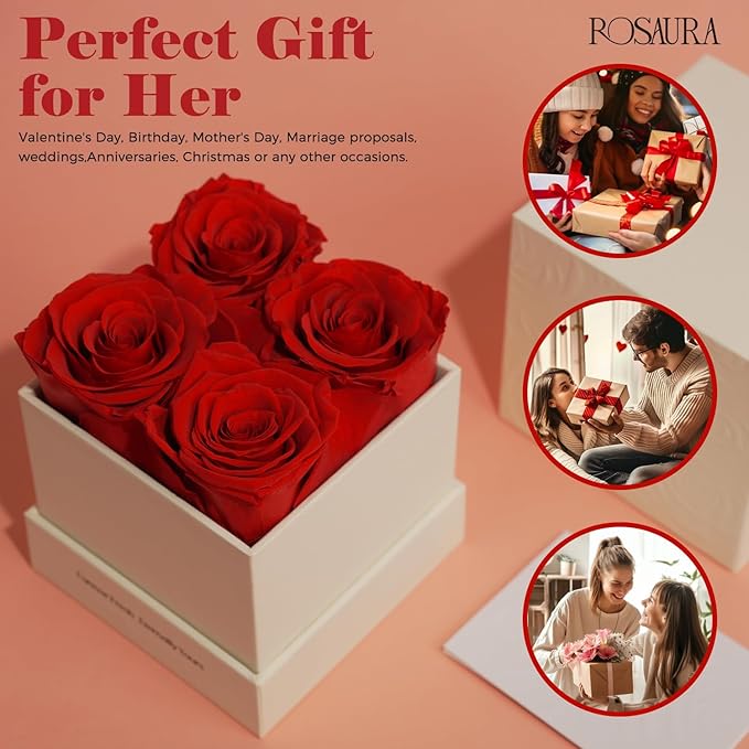 Rosaura 4-Piece Eternal Preserved Roses & Flowers Gift Box - Forever Lasting Real Roses, Preserved Flowers for Valentine's Day Red