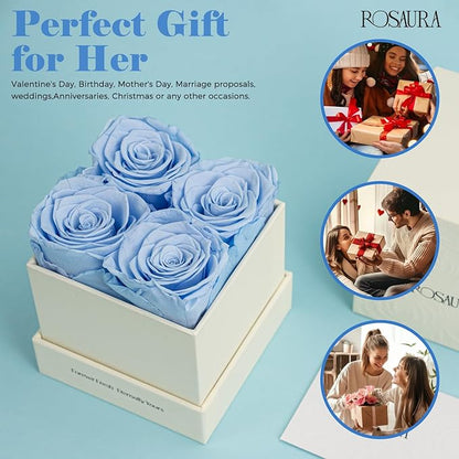 Rosaura 4-Piece Eternal Preserved Roses & Flowers Gift Box - Forever Lasting Real Roses, Preserved Flowers for Valentine's Day (Sky Blue)