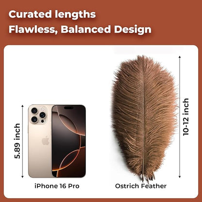 Piokio 20pcs Natural Brown Ostrich Feathers 10-12 inch (25-30cm) Bulk Feathers for Wedding Party Centerpieces, Home Decoration and DIY Clothing, Gatsby Decorations