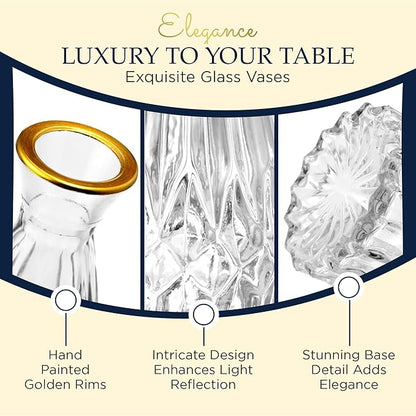 Luxury Glass Bud Vase Set of 5 – Hand Painted Gold Rim Mini Vases, Elegant Small Glass Vases for Centerpieces, Vintage Clear Flower Vases for Wedding, Table, Home & Party Décor