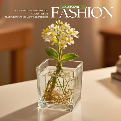 12pcs Square Glass Vases for Centerpieces, 3.15" Clear Short Glass Vase Cube Plant Terrarium, Candle Holder for Wedding Centerpiece, Office Decorations, Home Décor, Parties