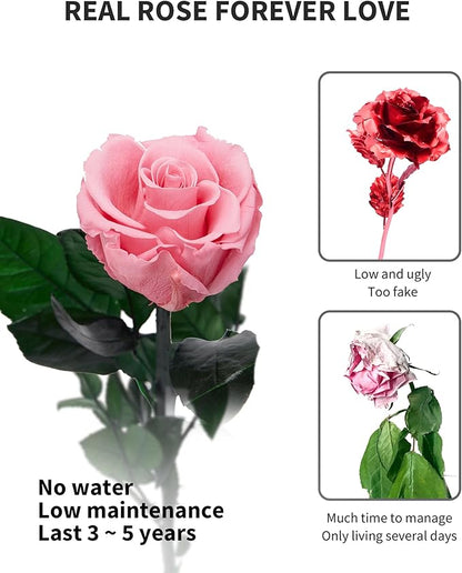 Coral Pink Flowers for Delivery Prime, Preserved Pink Roses Flower Gifts for Women, Real Roses Single Rose Gifts for Her, Mom Birthday Gifts from Daughter, Valentines Flowers