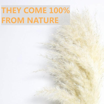 10 PCS Beige Pampas Grass Decor, Naturally Dried Pompas, Bunny Tails Dried Flowers, and Dried Eucalyptus. Perfect for Weddings, Boho Party Decorations, and Table Decor(17inch)