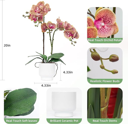 CXGS Orchids Artificial Flowers Real Touch Fake Flowers in Ceramic Pot 20" Purple Dapple Faux Orchid Plant Lifelike Silk Phalaenopsis for Centerpiece Hotel Home Indoor Decor