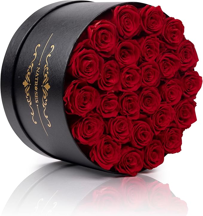 NATROSES 27 Piece Forever Preserved Roses in a Box, Preserved Flowers for Delivery Birthday, Flowers Gifts for Mothers Day, Red