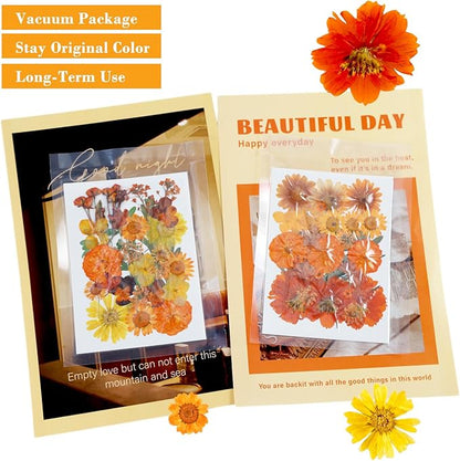 60 Pieces Fall Dried Pressed Flowers Orange Natural Dry Flowers for Crafts,Resin Mold,Scrapbooking,Candle,Soap Making,Embellishment Decorations