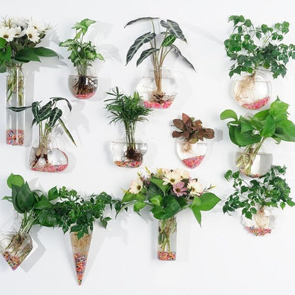 Wall-Mounted Acrylic Planter for Hydroponic Plants – Pipe Vase, Modern Transparent Design for Home & Office Decoration
