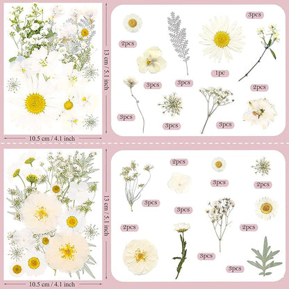 95 Pcs White Pressed Dried Flowers for Resin, Real Natural Bulk Dry Wildflowers Leaves Perfect for Epoxy Molds, DIY Crafts, Home Decor, Soap Candles Jewelry Making