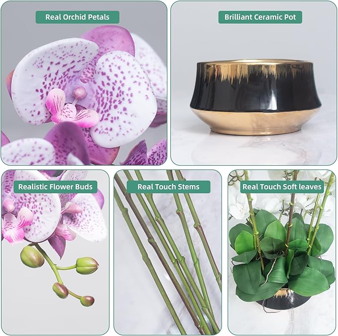 CXGS Orchids Artificial Flower Real Touch Faux Orchid in Large Ceramic Vase Realistic Fake Phalaenopsis Floral Arrangements Centerpiece Table Home Indoor Decor