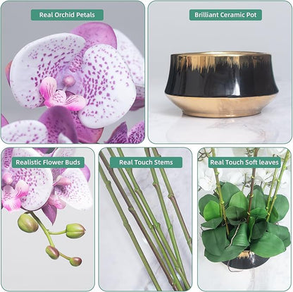CXGS Orchids Artificial Flower Real Touch Faux Orchid in Large Ceramic Vase Realistic Fake Phalaenopsis Floral Arrangements Centerpiece Table Home Indoor Decor