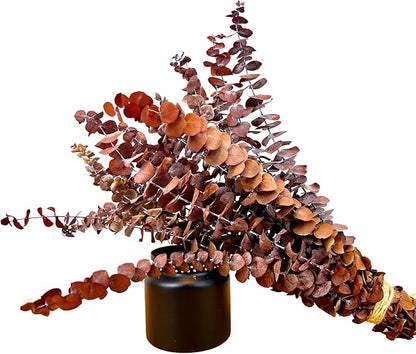 (20Pcs) Dried Eucalyptus Stems - Red, Fall Decorations for Home, Real Long Eucalyptus, Dried Flowers for Vase, 17" Floral Arrangement, Wedding (Orange)